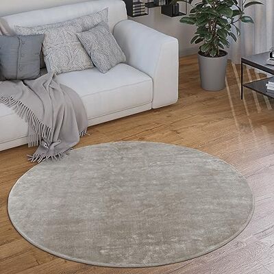 Paco Home Tapis Rond Salon Tapis Poil Ras Moderne Moelleux Lavable Monochrome, Dimension:120 cm Rond, Couleur:Gris - Publicité Paco Home Tapis Rond Salon Tapis Poil Ras Moderne Moelleux Lavable Monochrome, Dimension:120 cm Rond, Couleur:Gris - Publicité