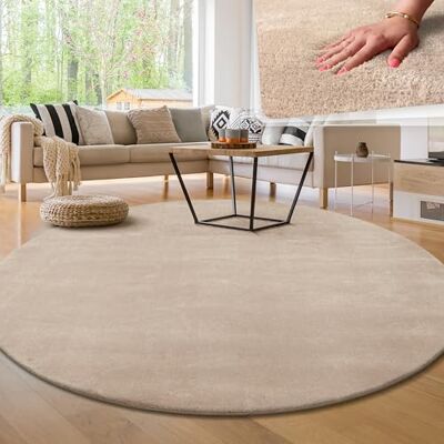 Paco Home Tapis Rond Salon Tapis Poil Ras Moderne Moelleux Lavable Monochrome, Dimension:120 cm Rond, Couleur:Beige - Publicité Paco Home Tapis Rond Salon Tapis Poil Ras Moderne Moelleux Lavable Monochrome, Dimension:120 cm Rond, Couleur:Beige - Publicité