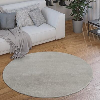 Paco Home Tapis Rond Salon Tapis Poil Ras Moderne Moelleux Lavable Monochrome, Dimension:120 cm Rond, Couleur:Argent - Publicité Paco Home Tapis Rond Salon Tapis Poil Ras Moderne Moelleux Lavable Monochrome, Dimension:120 cm Rond, Couleur:Argent - Publicité