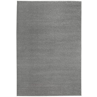 andiamo Tapis tissé Moderne et élégant à Poils Courts, Robuste et Facile d'entretien, en 100% polypropylène, Convient pour Chauffage au Sol et Robot aspirateur, 60 x 110 cm, Gris Clair uni - Publicité andiamo Tapis tissé Moderne et élégant à Poils Courts, Robuste et Facile d'entretien, en 100% polypropylène, Convient pour Chauffage au Sol et Robot aspirateur, 60 x 110 cm, Gris Clair uni - Publicité