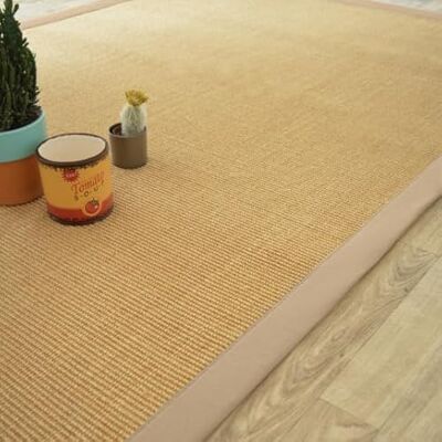 Decoweb Tapis sisal Yucatan Naturel Ganse Beige 160 x 230 cm - Publicité Decoweb Tapis sisal Yucatan Naturel Ganse Beige 160 x 230 cm - Publicité