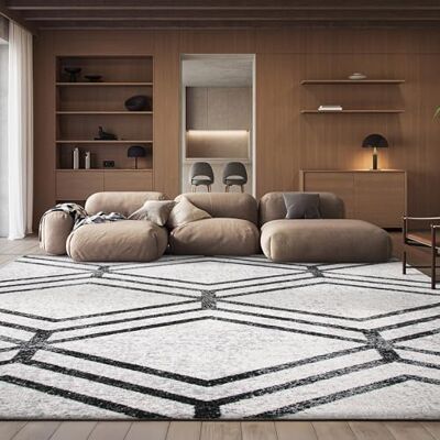 Safavieh - Adirondack - Ivoire/Charbon - 185x275cm - Tapis - Publicité Safavieh - Adirondack - Ivoire/Charbon - 185x275cm - Tapis - Publicité