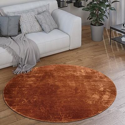 Paco Home Tapis Rond Salon Tapis Poil Ras Moderne Moelleux Lavable Monochrome, Dimension:120 cm Rond, Couleur:Cuivre - Publicité Paco Home Tapis Rond Salon Tapis Poil Ras Moderne Moelleux Lavable Monochrome, Dimension:120 cm Rond, Couleur:Cuivre - Publicité