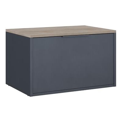 Vicco Commode Betti, Anthracite/Sonoma, 60x36cm avec Portes, adapté au Rangement dans Le Salon ou la Chambre - Publicité Vicco Commode Betti, Anthracite/Sonoma, 60x36cm avec Portes, adapté au Rangement dans Le Salon ou la Chambre - Publicité