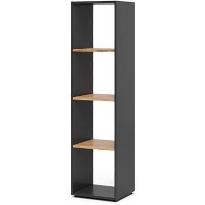 Vicco Meuble de Rangement Cube Ludus, Anthracite/chêne doré, 36.8x144.9cm, pour Le Rangement et la présentation de Livres et de boîtes - Publicité Vicco Meuble de Rangement Cube Ludus, Anthracite/chêne doré, 36.8x144.9cm, pour Le Rangement et la présentation de Livres et de boîtes - Publicité