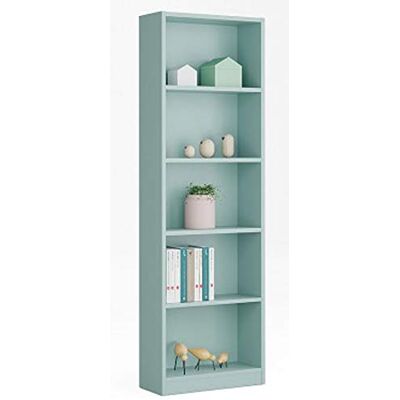 PEGANE Bibliothèque avec 5 étagères Coloris Vert Dim : H 180 x L 52 x P 25 cm - Publicité PEGANE Bibliothèque avec 5 étagères Coloris Vert Dim : H 180 x L 52 x P 25 cm - Publicité
