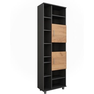Vicco Armoire Haute Ilias, Anthracite/chêne doré, 60.2x190cm, avec Compartiments modulables pour Un Rangement organisé - Publicité Vicco Armoire Haute Ilias, Anthracite/chêne doré, 60.2x190cm, avec Compartiments modulables pour Un Rangement organisé - Publicité