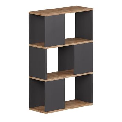 Vicco Séparateur de pièce Eneos, Anthracite/chêne doré, 60x94cm, utilisable comme étagère autoportante pour Une Division Flexible de l’Espace - Publicité Vicco Séparateur de pièce Eneos, Anthracite/chêne doré, 60x94cm, utilisable comme étagère autoportante pour Une Division Flexible de l’Espace - Publicité