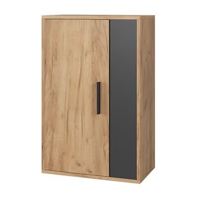 Vicco Armoire Suspendue Berno, Chêne doré/Anthracite, 50.1x78.4cm avec 2 Compartiments, adapté au Montage Mural pour Un Rangement Polyvalent - Publicité Vicco Armoire Suspendue Berno, Chêne doré/Anthracite, 50.1x78.4cm avec 2 Compartiments, adapté au Montage Mural pour Un Rangement Polyvalent - Publicité