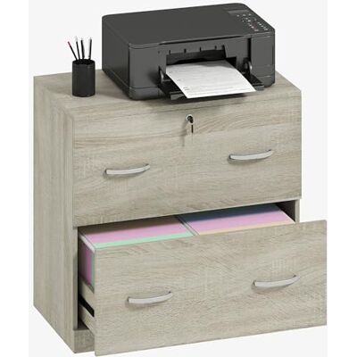 Vinsetto Commode de bureau avec 2 tiroirs avec guides pour dossiers suspendus pour serrure A4 et 2 clés pour studio salon 74 x 42 x 72 cm Naturel - Publicité Vinsetto Commode de bureau avec 2 tiroirs avec guides pour dossiers suspendus pour serrure A4 et 2 clés pour studio salon 74 x 42 x 72 cm Naturel - Publicité