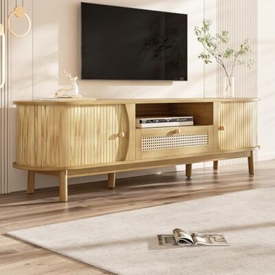 BTM Meuble TV Rotin Portes Bois Massif Style Campagnard, Rangement Front Bas - Publicité BTM Meuble TV Rotin Portes Bois Massif Style Campagnard, Rangement Front Bas - Publicité