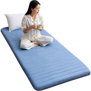 FZKun Matelas De Sol Simple avec Sac De Rangement sous Vide Réutilisable Tapis De Tatami Japonais Matelas Futon en Coton Roulable Lit D'appoint Pliable Dortoir étudiant (90x200CM,Bleu) - Publicité FZKun Matelas De Sol Simple avec Sac De Rangement sous Vide Réutilisable Tapis De Tatami Japonais Matelas Futon en Coton Roulable Lit D'appoint Pliable Dortoir étudiant (90x200CM,Bleu) - Publicité