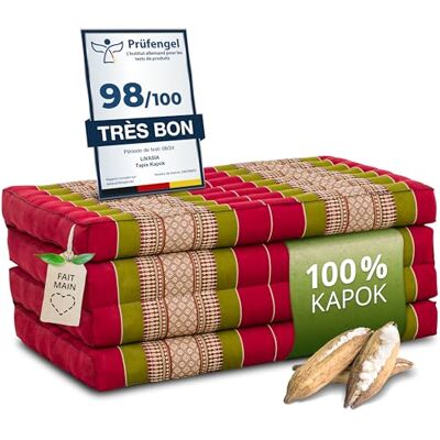 Livasia Matelas Pliable Durable en kapok 200x80x8cm Matelas d’invité, Matelas Pliable pour camionnette, Tapis de Yoga, Lit d’invité Pliable, Chaise Longue pour Le Jardin et Le Balcon (Rouge/Vert) - Publicité Livasia Matelas Pliable Durable en kapok 200x80x8cm Matelas d’invité, Matelas Pliable pour camionnette, Tapis de Yoga, Lit d’invité Pliable, Chaise Longue pour Le Jardin et Le Balcon (Rouge/Vert) - Publicité