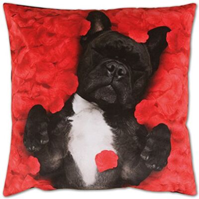 Bestlivings Housse de coussin avec impression photo de 40 x 40 cm, housse de coussin moelleuse et douce disponible dans de nombreux motifs (design : chien). Publicité Bestlivings Housse de coussin avec impression photo de 40 x 40 cm, housse de coussin moelleuse et douce disponible dans de nombreux motifs (design : chien). Publicité