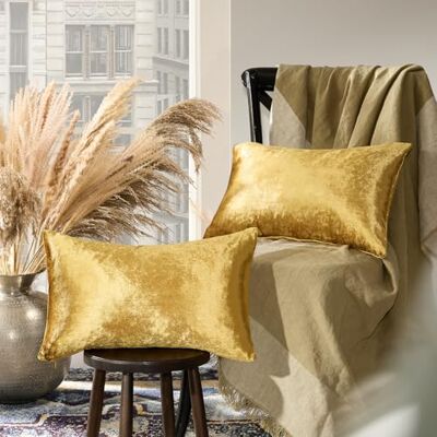GIGIZAZA Lot de 2 Housses de Coussin décoratives en Velours doré pour canapé-lit, 30,5 x 50,8 cm - Publicité GIGIZAZA Lot de 2 Housses de Coussin décoratives en Velours doré pour canapé-lit, 30,5 x 50,8 cm - Publicité