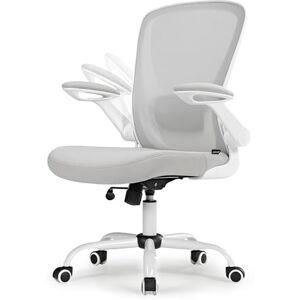 EUREKA ERGONOMIC Chaise de Bureau Ergonomique Fauteuil de Bureau en Maille Respirante Chaise d'ordinateur Roulant Comfortable avec Support Lombaire Réglable, Accoudoir Pliable - Publicité EUREKA ERGONOMIC Chaise de Bureau Ergonomique Fauteuil de Bureau en Maille Respirante Chaise d'ordinateur Roulant Comfortable avec Support Lombaire Réglable, Accoudoir Pliable - Publicité