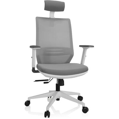 hjh OFFICE 820028 Chaise de Bureau Ergonomique Profondo Pro W Fauteuil Pivotante en Maille avec Support Lombaire Réglable, Gris - Publicité hjh OFFICE 820028 Chaise de Bureau Ergonomique Profondo Pro W Fauteuil Pivotante en Maille avec Support Lombaire Réglable, Gris - Publicité