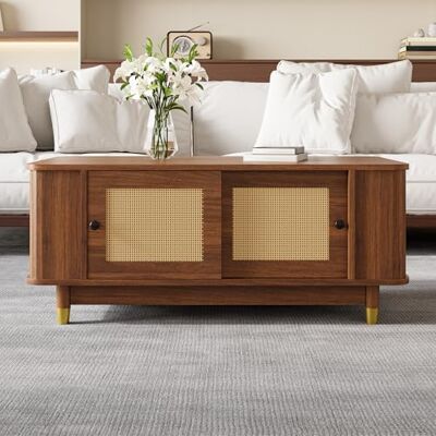 Merax Table basse avec espace de rangement et portes coulissantes en rotin, table de salon, aspect bois avec coins arrondis, table de canapé moderne, table basse de salon moderne, 100 x 50 x 42 cm (L - Publicité Merax Table basse avec espace de rangement et portes coulissantes en rotin, table de salon, aspect bois avec coins arrondis, table de canapé moderne, table basse de salon moderne, 100 x 50 x 42 cm (L - Publicité