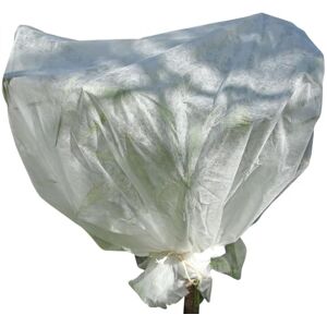 Linxor Voile d'hivernage pour Plantes 2m x 5m 30g/m² Blanc - Publicité Linxor Voile d'hivernage pour Plantes 2m x 5m 30g/m² Blanc - Publicité