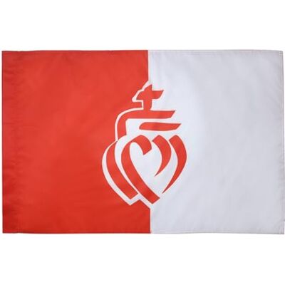 Drapeau Vendée 150x90cm - Pour extérieur - Publicité Drapeau Vendée 150x90cm - Pour extérieur - Publicité