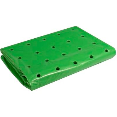Windhager Film Solide pour Plate-Bande Froide pour Protection Toute l'année Vert 37 microns 10 x 1,5 m - Publicité Windhager Film Solide pour Plate-Bande Froide pour Protection Toute l'année Vert 37 microns 10 x 1,5 m - Publicité