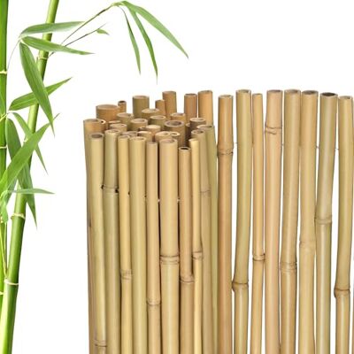 jarolift Brise-Vue en Bambou Premium, Brise-Vue pour Balcon Terrasse Jardin, Protection Contre Le Vent, Clôture de la Vie Privée, 100 x 300 cm, Naturel - Publicité jarolift Brise-Vue en Bambou Premium, Brise-Vue pour Balcon Terrasse Jardin, Protection Contre Le Vent, Clôture de la Vie Privée, 100 x 300 cm, Naturel - Publicité