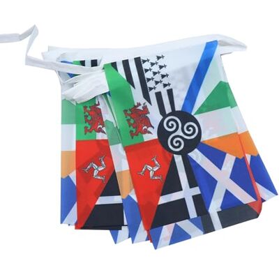 AZ FLAG Guirlande Celtique multi 6 m 20 drapeaux Polyester Léger 21x15 cm Usage intérieur et extérieur Guirlande de drapeaux celte drapeaux cousus sur un ruban renforcé - Publicité AZ FLAG Guirlande Celtique multi 6 m 20 drapeaux Polyester Léger 21x15 cm Usage intérieur et extérieur Guirlande de drapeaux celte drapeaux cousus sur un ruban renforcé - Publicité