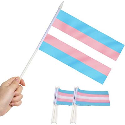 Anley Drapeau de bâton transgenre, Mini drapeau à main 5x8 pouces (12 x 20 cm) avec poteau solide blanc de 12 "(30 cm) Couleur vive et résistant à la décoloration 5 x 8 pouces drapeaux - Publicité Anley Drapeau de bâton transgenre, Mini drapeau à main 5x8 pouces (12 x 20 cm) avec poteau solide blanc de 12 "(30 cm) Couleur vive et résistant à la décoloration 5 x 8 pouces drapeaux - Publicité