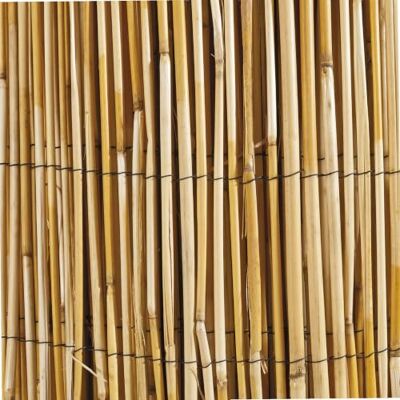 Windhager 06523 Canisse Roseau Naturel Beige 1 x 5 m - Publicité Windhager 06523 Canisse Roseau Naturel Beige 1 x 5 m - Publicité