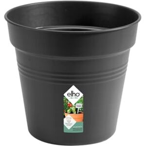 Elho Green Basics Pot De Culture 11 Growpot pour Intérieur, Extérieur, Culture & Récolte Ø 11.0 x H 10.2 cm Noir/Living Noir - Publicité Elho Green Basics Pot De Culture 11 Growpot pour Intérieur, Extérieur, Culture & Récolte Ø 11.0 x H 10.2 cm Noir/Living Noir - Publicité