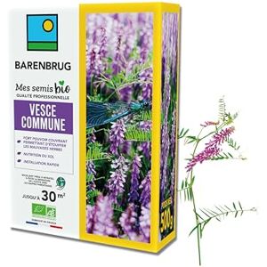 Barenbrug Vesce commune BIO Étouffe Mauvaises Herbes Nutrition Sol Installation Rapide Évite Migration Nitrates vers Nappes Phréatiques Fabriqué en France 500G - Publicité Barenbrug Vesce commune BIO Étouffe Mauvaises Herbes Nutrition Sol Installation Rapide Évite Migration Nitrates vers Nappes Phréatiques Fabriqué en France 500G - Publicité