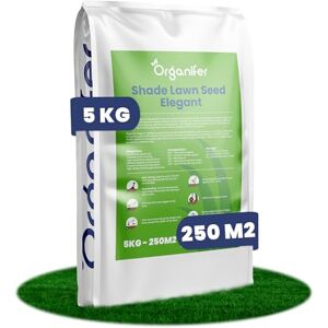 Organifer Graines De Gazon D'Ombre (5 Kg/250 M2) Gazon Germination Rapide Certifié Nak Très Haute Tolérance À L'Ombre Et À La Sécheresse - Publicité Organifer Graines De Gazon D'Ombre (5 Kg/250 M2) Gazon Germination Rapide Certifié Nak Très Haute Tolérance À L'Ombre Et À La Sécheresse - Publicité