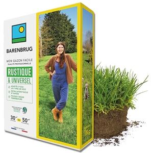 Barenbrug Gazon Rustique & Universel Adapté Tous Sols Installation Facile et Rapide Pousse à Basse Température Engrais Compatible Agriculture Biologique Fabriqué en France 1KG - Publicité Barenbrug Gazon Rustique & Universel Adapté Tous Sols Installation Facile et Rapide Pousse à Basse Température Engrais Compatible Agriculture Biologique Fabriqué en France 1KG - Publicité