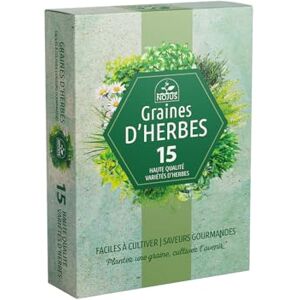 Nojaus Sėklos Nojaus Seklos Lot de 15 graines d'herbes aromatiques de qualité supérieure, pour une utilisation en intérieur et en extérieur - Publicité Nojaus Sėklos Nojaus Seklos Lot de 15 graines d'herbes aromatiques de qualité supérieure, pour une utilisation en intérieur et en extérieur - Publicité