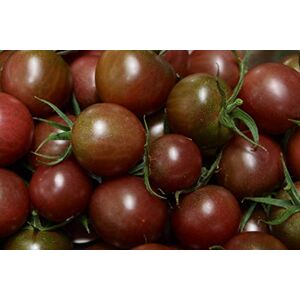 Semisauvage Permaculture 35 Graines de Tomate Cerise Black Cherry légumes semis potager méthode BIO - Publicité Semisauvage Permaculture 35 Graines de Tomate Cerise Black Cherry légumes semis potager méthode BIO - Publicité