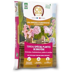 OR BRUN - OBRTBRU6U - 6L - Terreau spécial plantes de bruyere - Potting Soil - Publicité OR BRUN - OBRTBRU6U - 6L - Terreau spécial plantes de bruyere - Potting Soil - Publicité