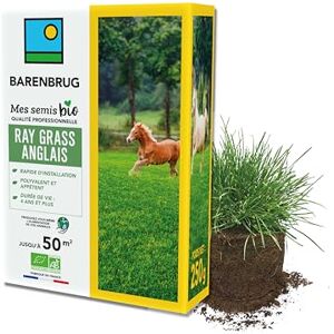 Barenbrug Ray-grass anglais BIO Rapide d’Installation Polyvalent et Appétent Durée de Vie 4 ans et + Production Alimentation pour Animaux Fabriqué en France 250G - Publicité Barenbrug Ray-grass anglais BIO Rapide d’Installation Polyvalent et Appétent Durée de Vie 4 ans et + Production Alimentation pour Animaux Fabriqué en France 250G - Publicité