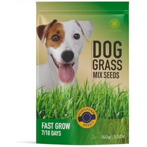 R&R SHOP Mélange de graines de gazon pour chiens, croissance rapide pour un chien heureux, graines européennes de haute qualité (150gr) - Publicité R&R SHOP Mélange de graines de gazon pour chiens, croissance rapide pour un chien heureux, graines européennes de haute qualité (150gr) - Publicité