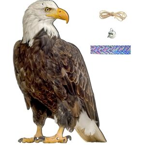 Hotainoys Dispositif répulsif d'oiseaux d'extérieur, leurre de Faucon Suspendu réaliste de 12x8 Pouces avec Cloche et Ruban réfléchissant, Aigle pour Arbres, Plantes, Protection des Cultures, leurre - Publicité Hotainoys Dispositif répulsif d'oiseaux d'extérieur, leurre de Faucon Suspendu réaliste de 12x8 Pouces avec Cloche et Ruban réfléchissant, Aigle pour Arbres, Plantes, Protection des Cultures, leurre - Publicité