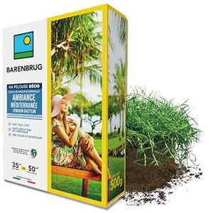 Barenbrug Pelouse Ambiance Méditerranée Cynodon Vert Tout l’Été Forte Réduction de l’Arrosage Très Solide et Esthétique Préserve les Ressources en Eau Fabriqué en France 500G - Publicité Barenbrug Pelouse Ambiance Méditerranée Cynodon Vert Tout l’Été Forte Réduction de l’Arrosage Très Solide et Esthétique Préserve les Ressources en Eau Fabriqué en France 500G - Publicité