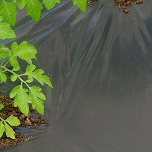 TENAX Dot Cover 1,50x20 m Noir - Film de paillage - Publicité TENAX Dot Cover 1,50x20 m Noir - Film de paillage - Publicité