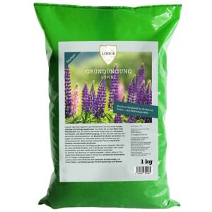 Linsor Lupinen Engrais vert lupin doux, graines de fleurs, amélioration du sol automne, 1 kg pour 30 m² - Publicité Linsor Lupinen Engrais vert lupin doux, graines de fleurs, amélioration du sol automne, 1 kg pour 30 m² - Publicité