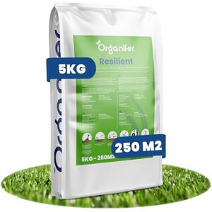 Organifer Graines De Gazon Pour Pelouses De Jeu À Germination Rapide (5 Kg 250 M2) Semences De Pelouse Graines De Gazon Pour Pelouses De Sport Et Pelouses De Jeu Certifié Nak - Publicité Organifer Graines De Gazon Pour Pelouses De Jeu À Germination Rapide (5 Kg 250 M2) Semences De Pelouse Graines De Gazon Pour Pelouses De Sport Et Pelouses De Jeu Certifié Nak - Publicité