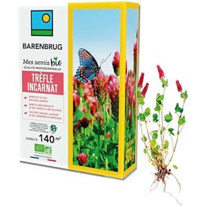 Barenbrug Trèfle incarnat BIO Enrichit Naturellement Sol Aère et Décompacte Couvert Annuel Sans Repousse Restitue Éléments Nutritifs Futures Cultures Fabriqué en France 500G - Publicité Barenbrug Trèfle incarnat BIO Enrichit Naturellement Sol Aère et Décompacte Couvert Annuel Sans Repousse Restitue Éléments Nutritifs Futures Cultures Fabriqué en France 500G - Publicité