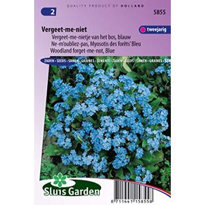 Arborix, plus vert - moins cher Ne-m'oubliez-pas, Myosotis de forêts Bleu Graines De Fleurs Bisannuelles - Publicité Arborix, plus vert - moins cher Ne-m'oubliez-pas, Myosotis de forêts Bleu Graines De Fleurs Bisannuelles - Publicité