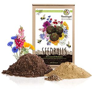 HappySeed Kit prêt-à-pousser pour 20-30 bombes de graines DIY Bombes de graines pour un pâturage coloré pour les abeilles et les papillons - Publicité HappySeed Kit prêt-à-pousser pour 20-30 bombes de graines DIY Bombes de graines pour un pâturage coloré pour les abeilles et les papillons - Publicité