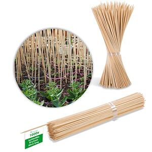 Novatool Lot de 100 bâtons de gravier 90 cm x 7 mm I Naturel I Tuteur en bambou Tuteur pour plantes Plant Stakes - Publicité