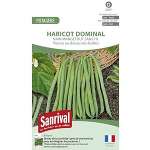 Sanrival Graines Haricot Sansoucy Mangetout Sans Fil - Publicité Sanrival Graines Haricot Sansoucy Mangetout Sans Fil - Publicité