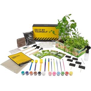 DIBYS Kit de Jardinage Set complet avec graines d'herbes, outils en bois, terreau, peintures & boîte de culture à peindre Idée cadeau créative Plante à faire pousser - Publicité DIBYS Kit de Jardinage Set complet avec graines d'herbes, outils en bois, terreau, peintures & boîte de culture à peindre Idée cadeau créative Plante à faire pousser - Publicité