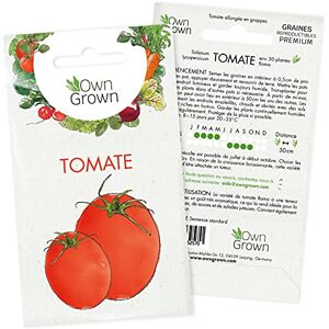 OwnGrown Graines de tomate (Solanum lycopersicum), graines de tomates à cultiver , graines pour environ 30 plants de la variété Roma - Publicité OwnGrown Graines de tomate (Solanum lycopersicum), graines de tomates à cultiver , graines pour environ 30 plants de la variété Roma - Publicité